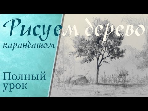 Видео: Как нарисовать дерево с листьями карандашом