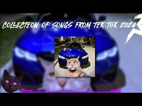 Видео: СБОРКА ПОПУЛЯРНЫХ ПЕСЕН ИЗ ТИК ТОКА🎶 2024 || COLLECTION OF SONGS FROM TIK TOK 2024😶‍🌫️