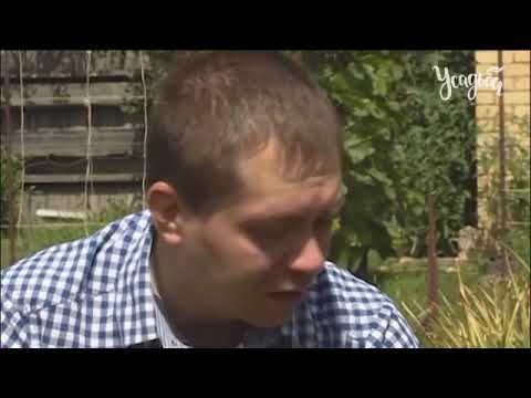 Видео: Альтернативный сад 7 серия чеснок сбор урожая