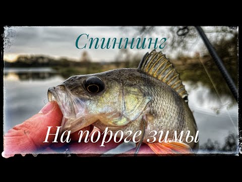 Видео: Окунь на ультра лайт ! Рыбалка на пороге зимы !