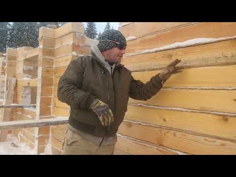 Видео: Синева на брусе. Всё пропало. ДОМ ПОД СНОС!!!