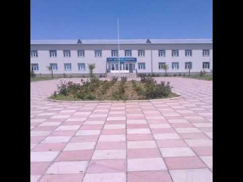 Видео: тест 6 сынып