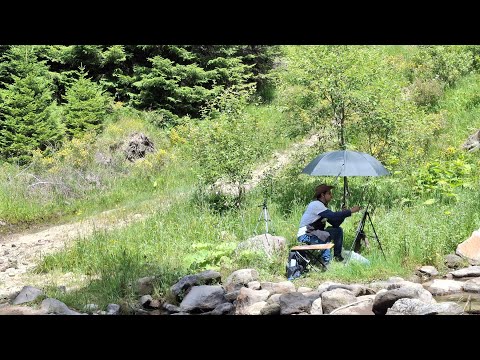 Видео: Рисуване край потока 13.07.25