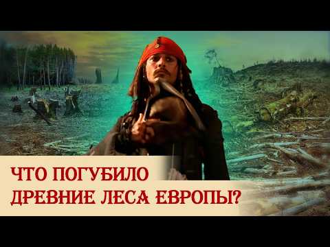 Видео: Что погубило древние леса Европы?