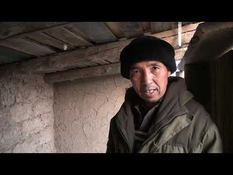 Видео: Зоогумус өндүрүүчү фермер Жумгал району Байзак айылы