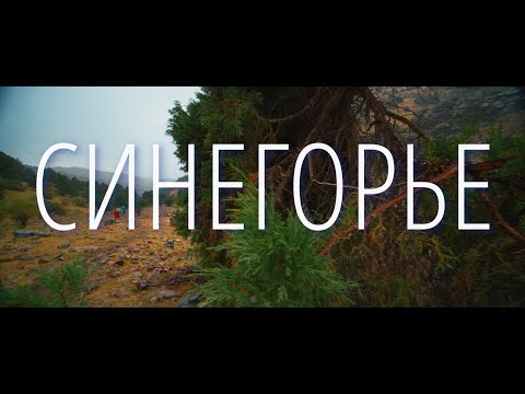 Видео: Синегорье - Сказки волшебного леса