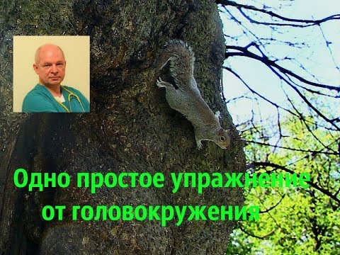 Видео: Одно простое упражнение от головокружения#головокружение#онемениевруках