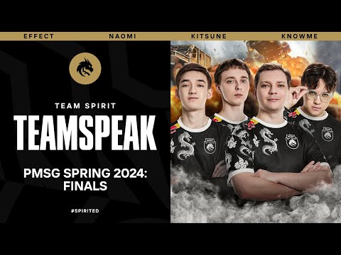 Видео: TEAM SPIRIT: ТИМСПИК PMSG SPRING 2024