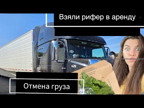 Видео: взяли рифер в аренду