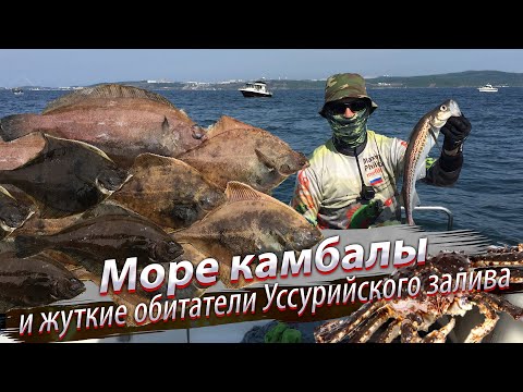 Видео: 🇷🇺 Тащим КАМЧАТСКОГО КРАБА и ведро КАМБАЛЫ. Морская рыбалка. Японское море. Уссурийский залив