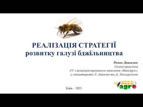 Видео: РЕАЛІЗАЦІЯ СТРАТЕГІЇ розвитку галузі бджільництва