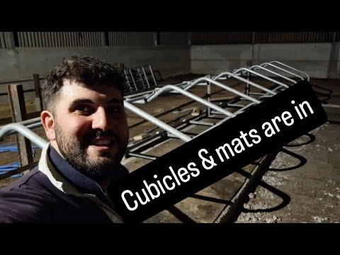 Видео: На шаг ближе к прибытию коров!!!