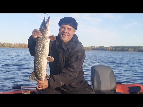 Видео: FISHING / МИНИЧИ. Трофейная щука.