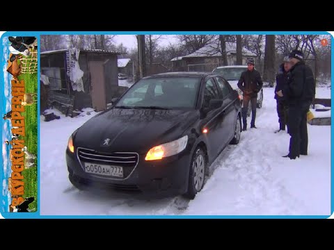 Видео: КУПИЛИ НОВУЮ МАШИНУ, НА ДВЕ ДОЙНЫЕ КОРОВЫ СТАЛО БОЛЬШЕ