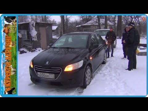 Видео: КУПИЛИ НОВУЮ МАШИНУ, НА ДВЕ ДОЙНЫЕ КОРОВЫ СТАЛО БОЛЬШЕ