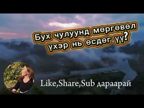 Видео: Архангай аймаг Бух хайрханы домог болон хачир мэдээллүүд