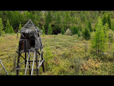 Видео: Мечта Сталина анонс фильма 