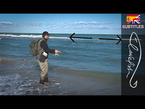 Видео: Как читать на пляже: где забросить наживку!