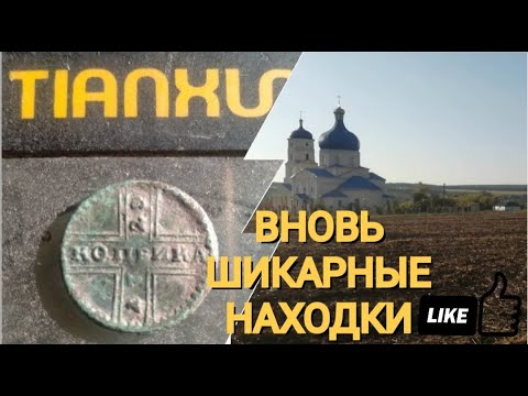 Видео: по ЗОЛОТОМУ полю с ТХ-850 | подстава от тракториста