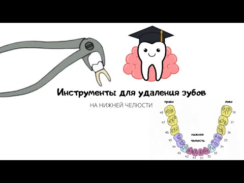 Видео: Инструменты (щипцы) для удаления зубов на нижней челюсти.