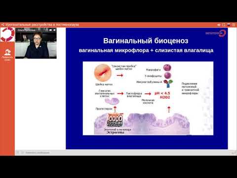 Видео: Экспертология | Урогенитальные расстройства в постменопаузе Пустотина О.А.