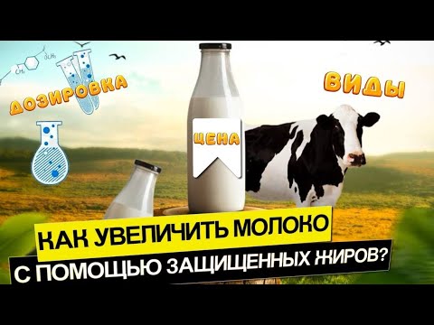 Видео: Как увеличить молоко с помощью защищенных жиров? Виды, дозировки, цены — опыт зоотехника!