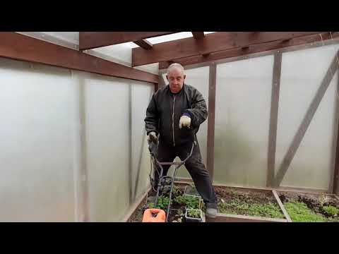 Видео: Культиватор DAEWOO DAT 1800Е плюсы и минусы! Обработка парника!