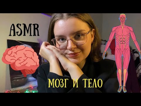 Видео: АСМР МЕДИТАЦИЯ • Психологическая техника расслабления тела и мозга