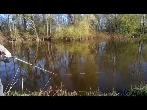 Видео: Перша квітнева рибалка)