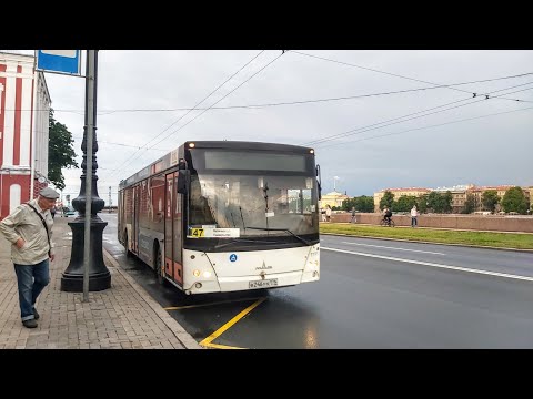 Видео: Автобус, маршрут №47 МАЗ-203.085 б.1191 (11.07.2022) Санкт-Петербург