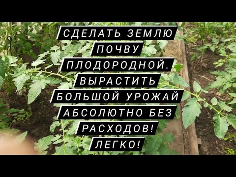 Видео: Как сделать плодородие огород здоровым урожайным защита растений от болезней