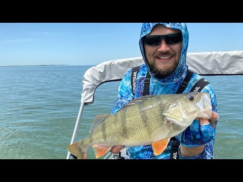 Видео: ХОРОШИЙ окунь, ребята!) Бешеный клев крупного окуня на Веселовском водохранилище. Рыбалка в июне 22г