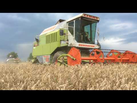 Видео: Тежка жътва