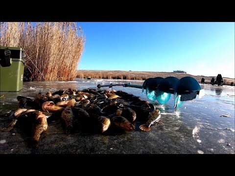 Видео: Вот как нужно открывать ПЕРВЫЙ ЛЁД.Ловля ротана по перволедью.Эта рыба даёт жару по первому льду.