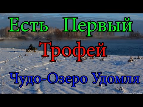 Видео: Есть долгожданный Трофей 2023. Чудо-Озеро Удомля . Зимний фидер не даёт расслабиться. Фидер 2023.