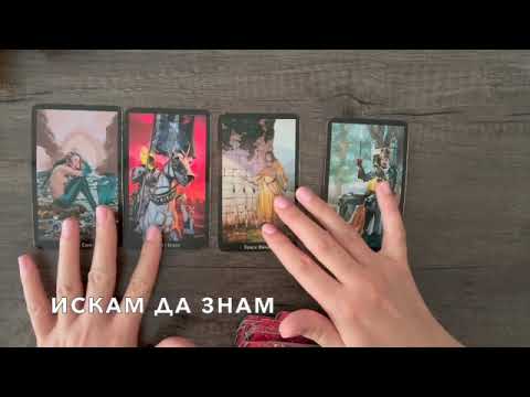 Видео: Какво ви предстои #tarot  #таро #tarot #tarotreading