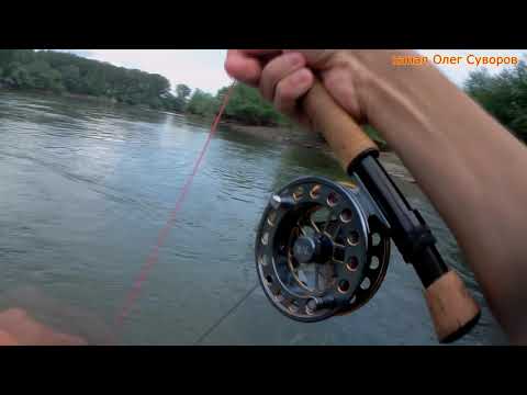 Видео: Голавль нахлыстом - парочка советов при ловле на мокрую мушку.