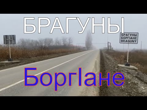 Видео: Брагуны