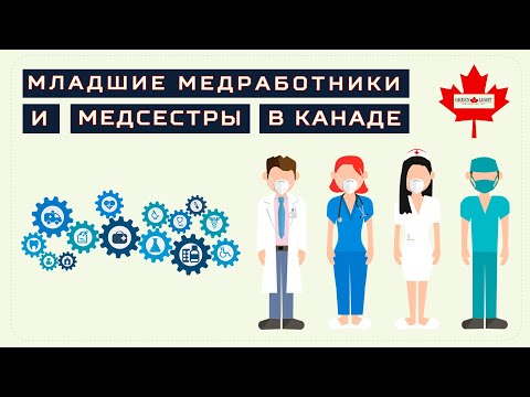 Видео: Иммиграция в Канаду для медсестер и младших медицинских работников.