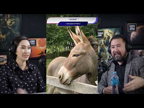 Видео: Илжиг - АМЬТДЫН ЕРТӨНЦ