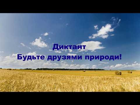Видео: Аудіодиктант для 4 класу з укр.мови