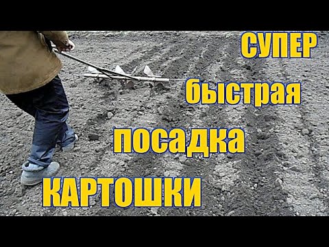 Видео: #2. Супер быстрая посадка картошки/СУПЕР РАЛО/ РУЧНАЯ КАРТОФЕЛЕСАЖАЛКА.