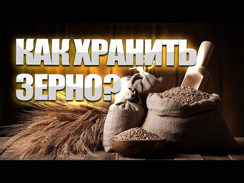 Видео: как хранить зерно?