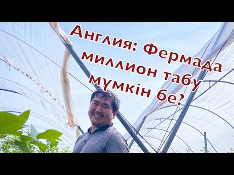 Видео: Англия: Фермада жүріп миллион табуға бола ма? | Работа в Англии | Агропрактика