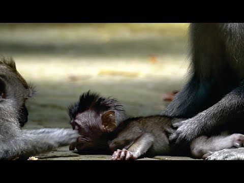 Видео: Ребенок-заложник