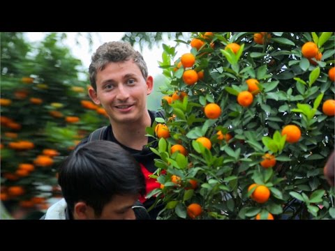 Видео: Орёл и Решка. НА КРАЮ СВЕТА. #7 Ханой