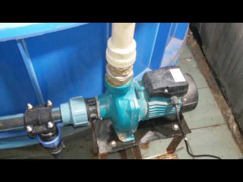 Видео: УЗВ  № 2 ! RAS № 2