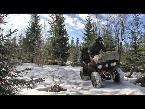 Видео: Пробился в лесное урочище, находки порадовали... #281