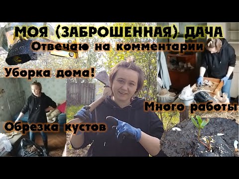 Видео: Уборка дома, ваши советы и немного позитива! Дневники (ЗАБРОШЕННОЙ) дачи!