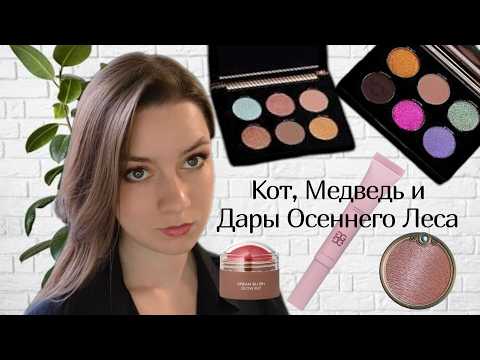 Видео: Дивноглазый Блудный Кот, Импозантный респектабельный Медведь и Дары Осеннего Леса #таммитанука